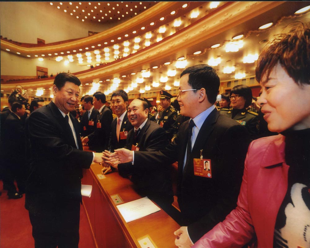 衡山齒輪有限公司董事長許仲秋參加全國二會并與國家主席習(xí)近平握手